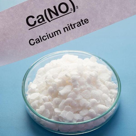Calcium Nitrate CAS:10124-37-5 Calcium Nitrate CAS:10124-37-5